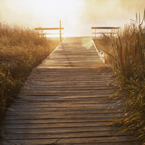 Idylle am Ottendorfer See
