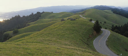 Auf dem Karlsberger Rücken