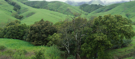 Berg & Tal im Ottendorfer Land